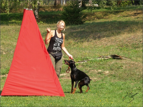 Summer training camp - Jelenec - 2007